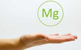 Продукты, содержащие большое количество магния Mg